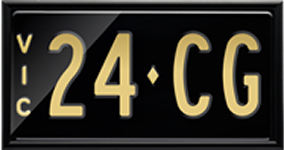 BIRDBOI custom number plate